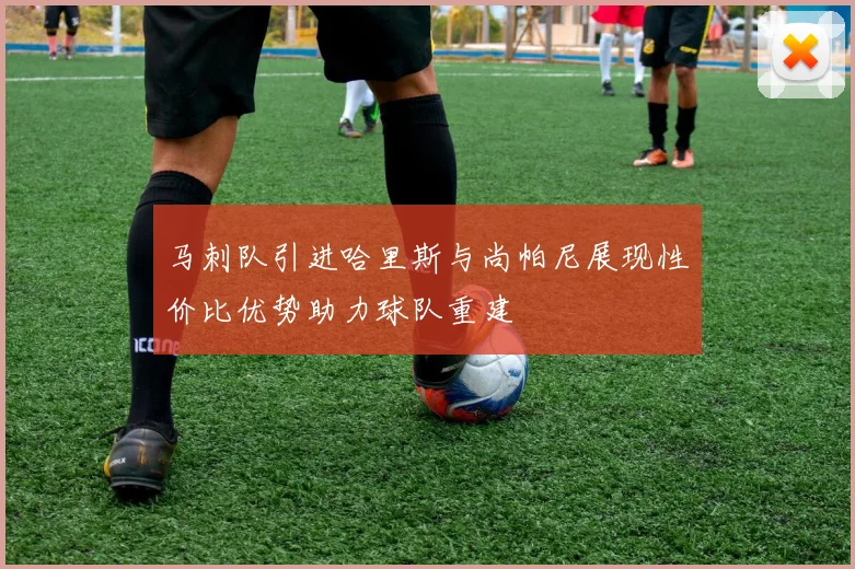 马刺队引进哈里斯与尚帕尼展现性价比优势助力球队重建